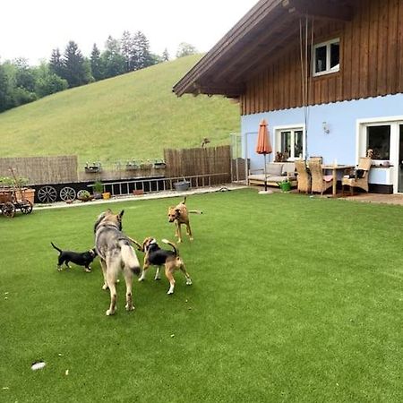Апартаменти Urlaub Mit Hund Im Salzburger Land Wegscheid Екстер'єр фото
