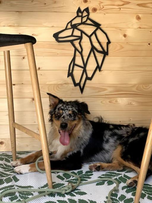 Апартаменти Urlaub Mit Hund Im Salzburger Land Wegscheid Екстер'єр фото